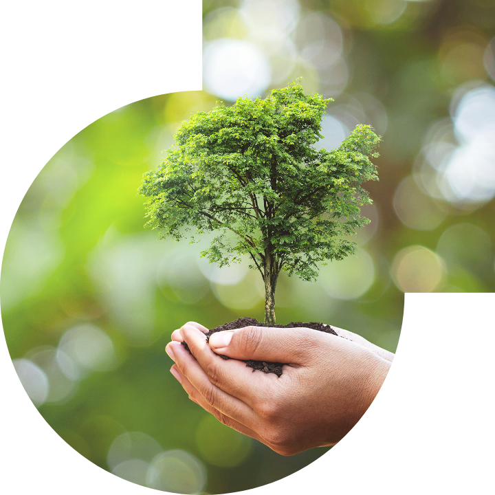 关怀人类、文化、环境与社会